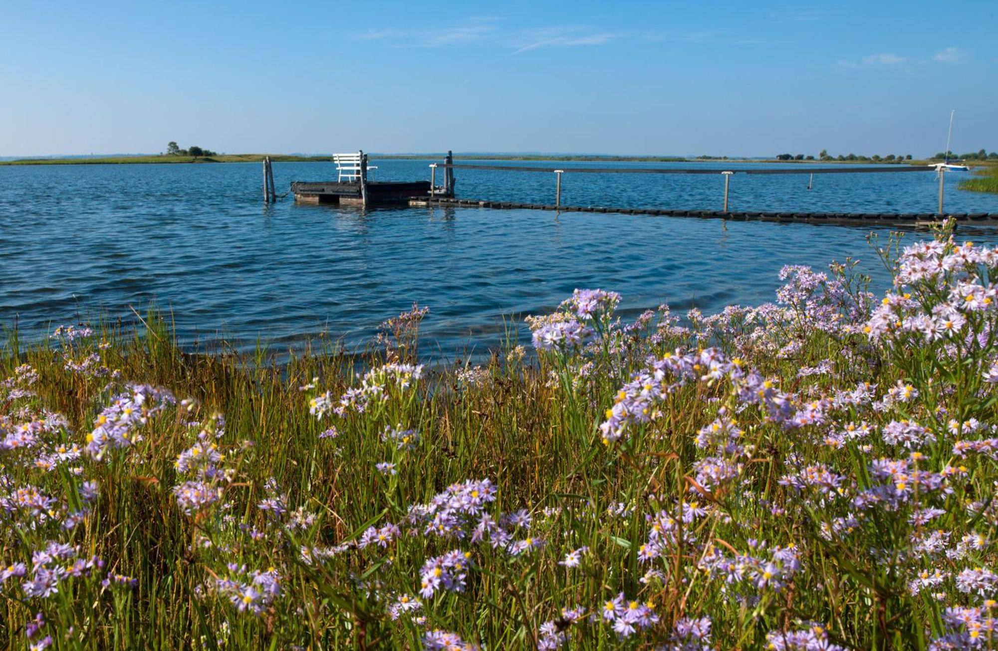 Haus Seeschwalbe Timmendorfer Strand Zewnętrze zdjęcie