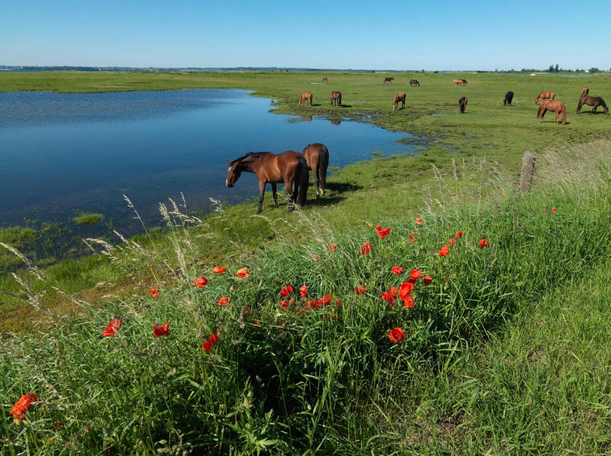 Haus Seeschwalbe Timmendorfer Strand Zewnętrze zdjęcie